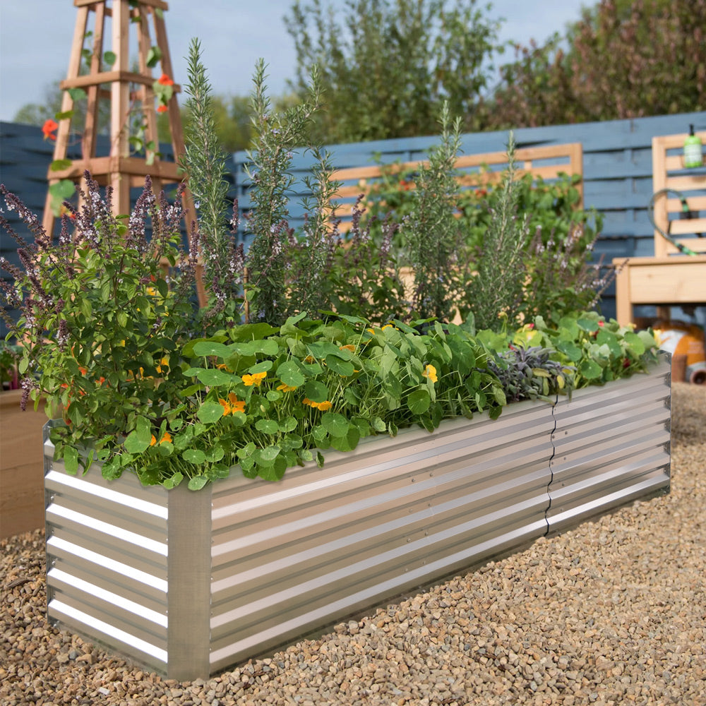 raised garden bed for tomatoes and plants
